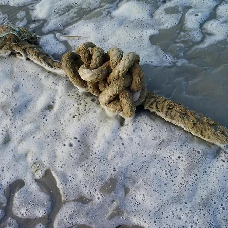 Captain's * Norddeich (Norden)